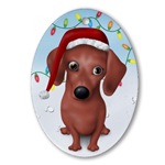 Benjumin Von Douche | Dachshund 