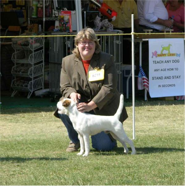 Copyright of Lovealoch | Parson Russell Terrier 