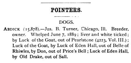 Abdick (1889) AKC 015878 | Pointer 