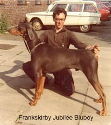 Frankskirby Jubilee Bluboy | Blue Doberman Pinscher