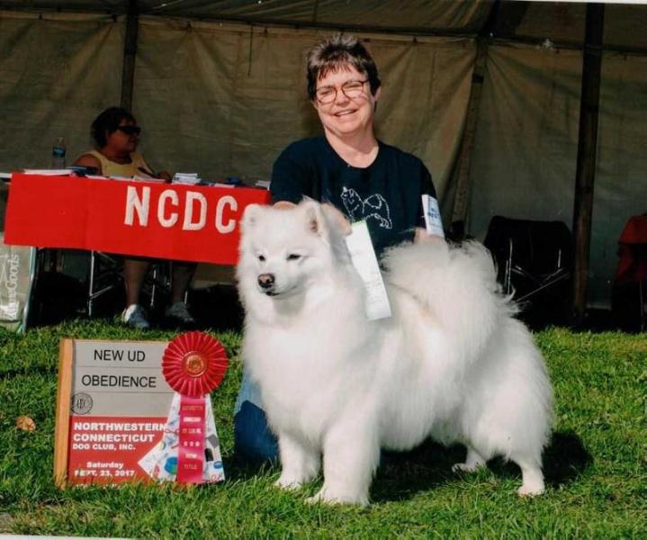 PAT' IRISH WARP SIGNATURE | American Eskimo Dog 