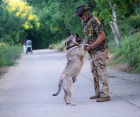 Asad Feodor Land | Ca de Bou 