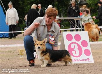 Ingermanlandija Moe Schastye | Pembroke Welsh Corgi 