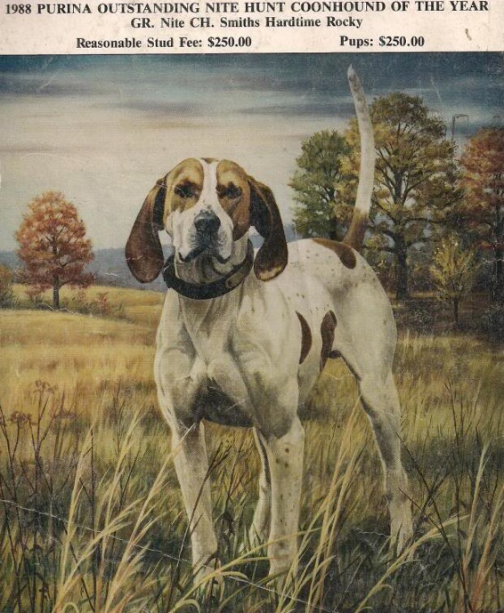Smith's Hard Time Rocky | American English Coonhound 