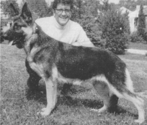 Gay [Jessy James x Cendra] | German Shepherd Dog 