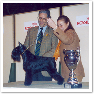 Made in Spain Jaque-Mate | Miniature Schnauzer 