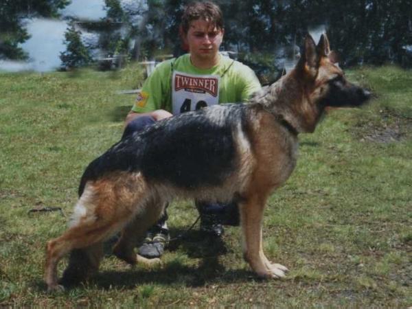 Ziwa von Honduras | German Shepherd Dog 