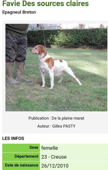 FAVIE des Sources Claires | Brittany 