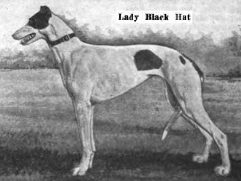 Lady Black Hat | Greyhound 