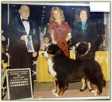 Shersan Chang O' Pace V Halidom | Bernese Mountain Dog 