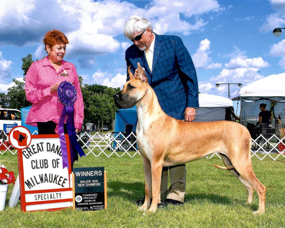 Diola N Hi-Class Girl From Ipanema @ Griner AOM | Great Dane 