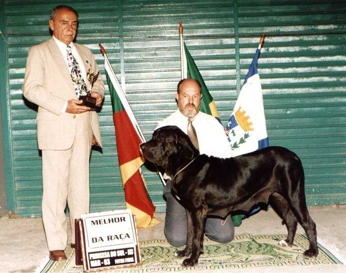 RISOLETA DO RINCAO VIOLENTO | Fila Brasileiro 