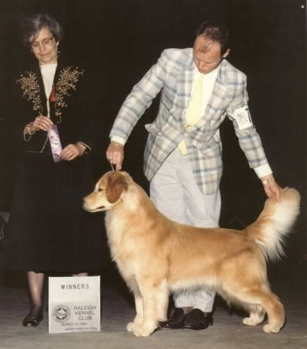 Laurell's Goin' Great Guns | Golden Retriever 