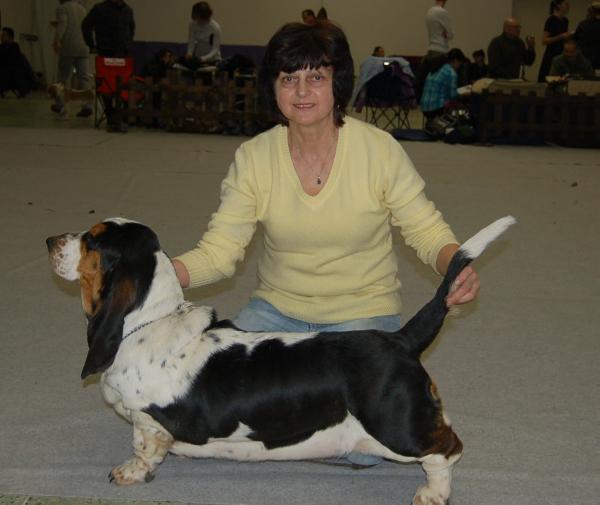 Cherokee Queen´s Hermelín | Basset Hound 