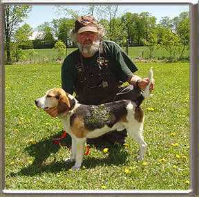 Awful bawlin Viagra | Beagle 