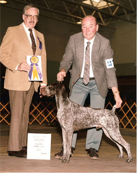 Robin Crest Rolls Royce | German Shorthaired Pointer 