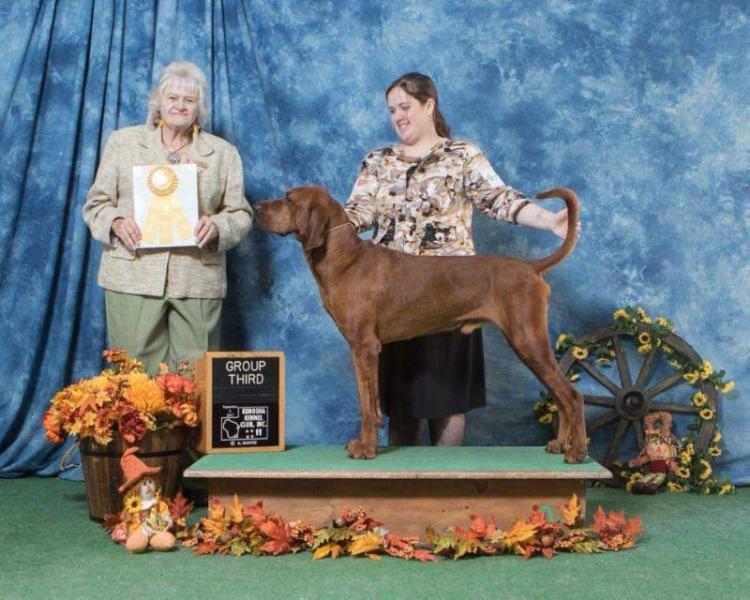 Rimfire's Me and The Moon | Redbone Coonhound 