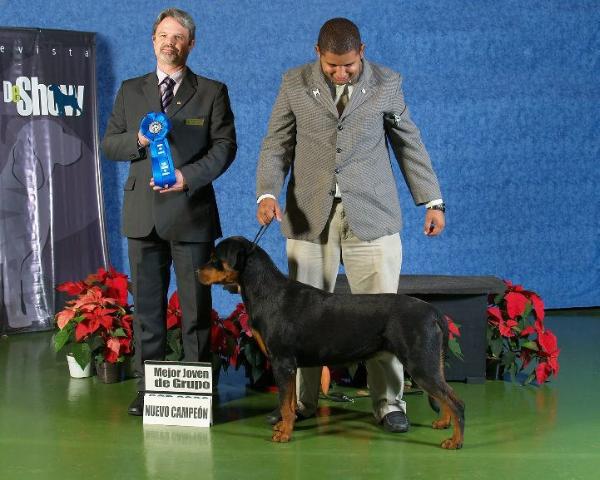 GORDON'S BEST ESPERANZA | Rottweiler 