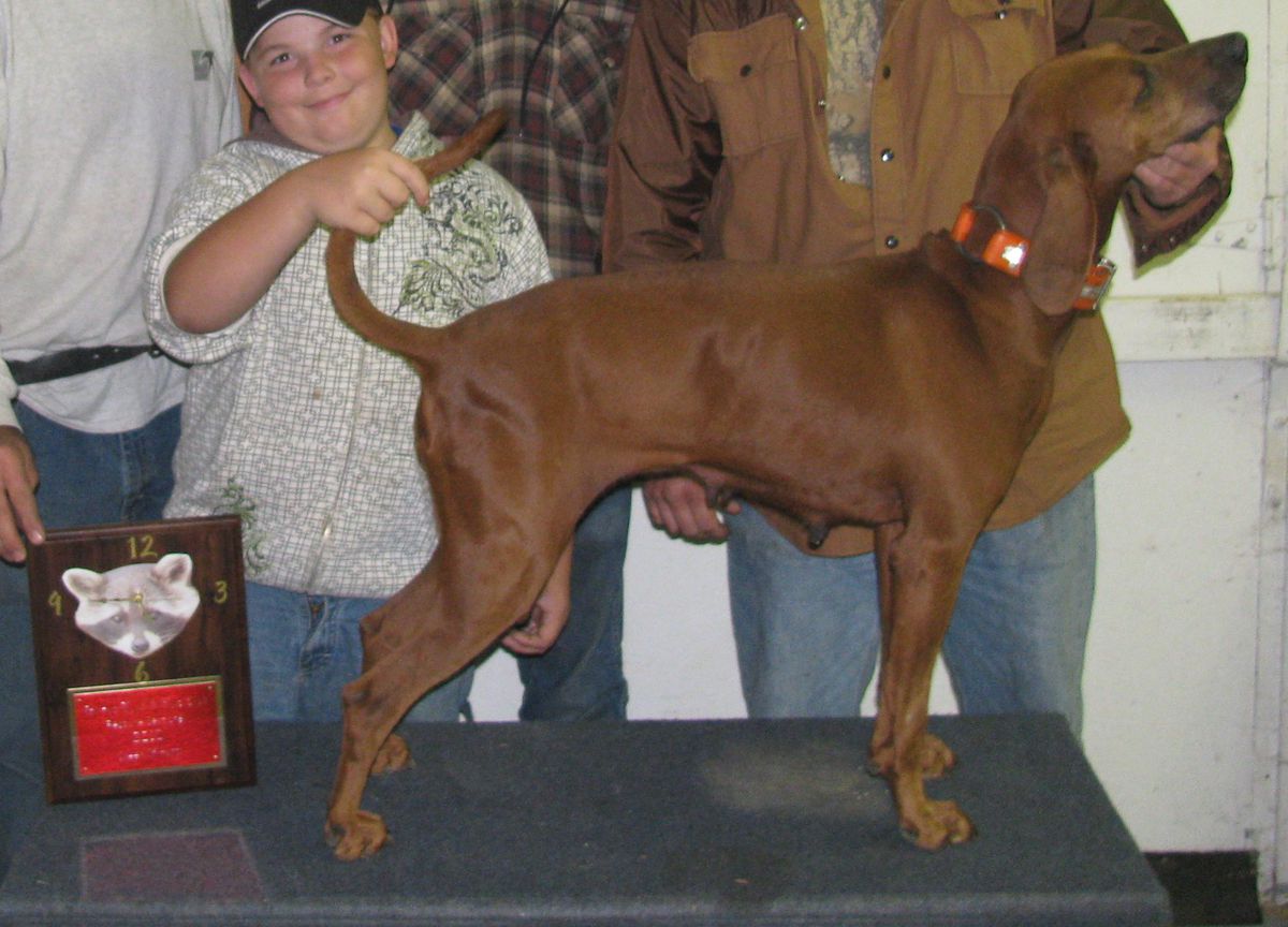 Goza's Sing Along Wild Rose | Redbone Coonhound 