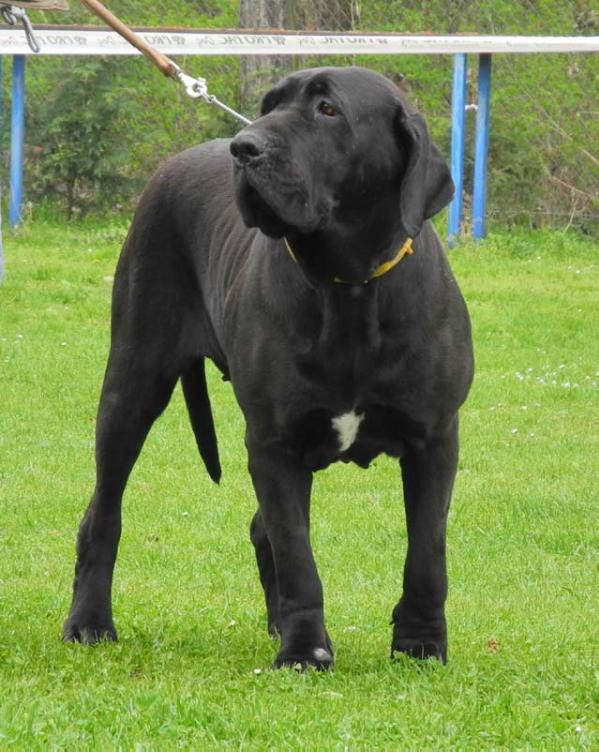 120 Senda do Eshabeta II | Fila Brasileiro 