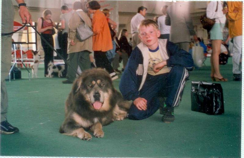 OF ZLAZANO YAN-TSAR | Tibetan Mastiff 