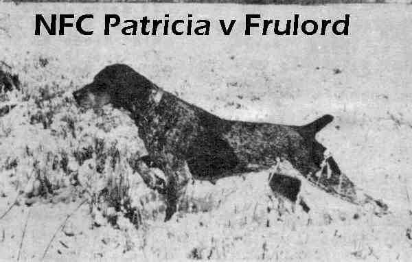 PATRICIA V FRULORD | German Shorthaired Pointer 