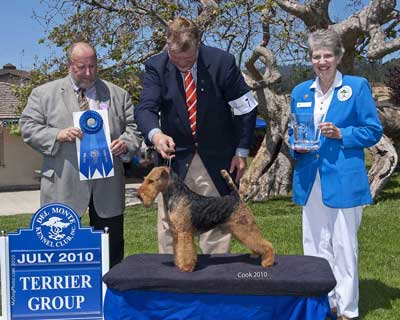 Darwyn´s I´m Not Arguing That | Welsh Terrier 