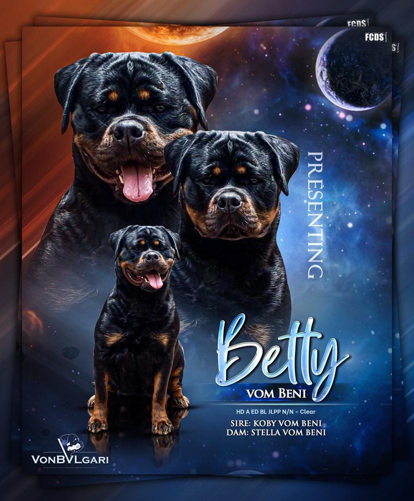 Betty vom Beni of Von Bulgari | Rottweiler 