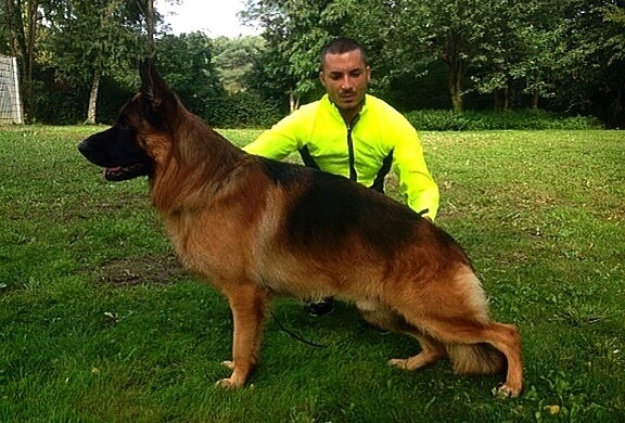 Park di val Calore | German Shepherd Dog 