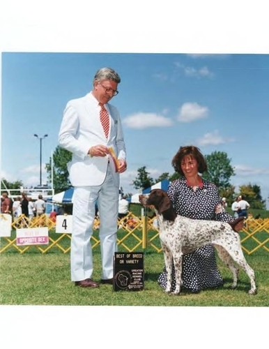 Rising Star's White River Debut | German Shorthaired Pointer 