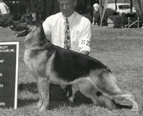 Riverdell's Nemesis | German Shepherd Dog 