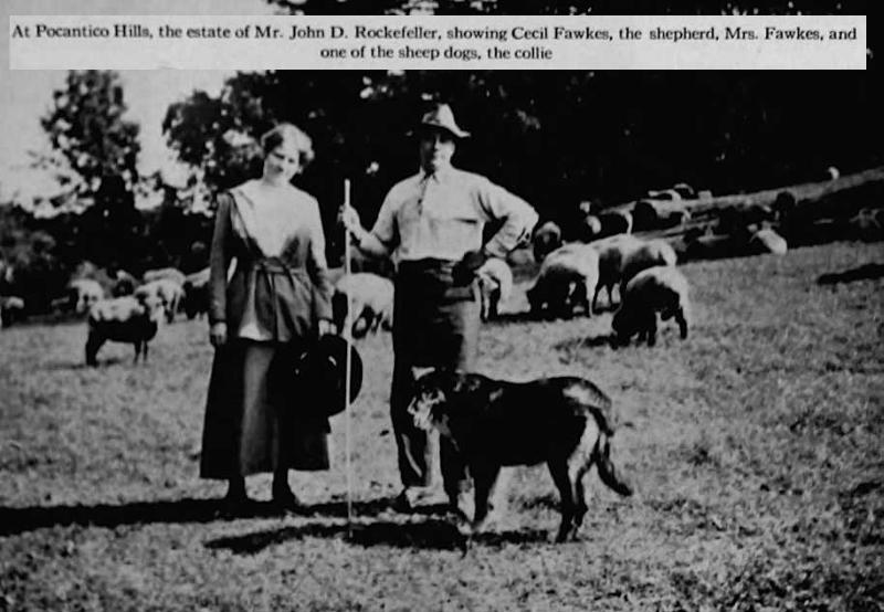 Archie Fawkes {Mr William Rockefeller's] | Old English Sheepdog 