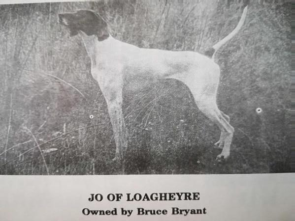 JO OF LOAGHEYRE | Pointer 