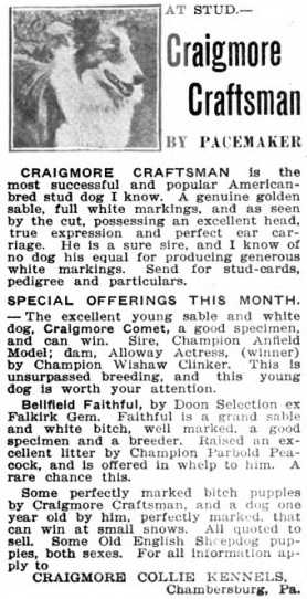 Craigmore Craftsman | Rough Collie 