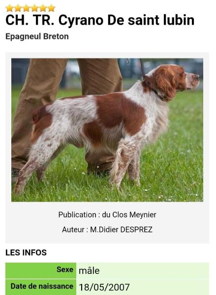 CYRANO de Saint Lubin | Brittany 