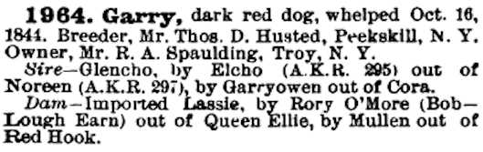 Garry (1884) AKR 001964 | Irish Setter 
