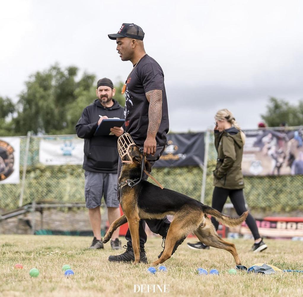 PawfectionK9 Zelda | Belgian Malinois 