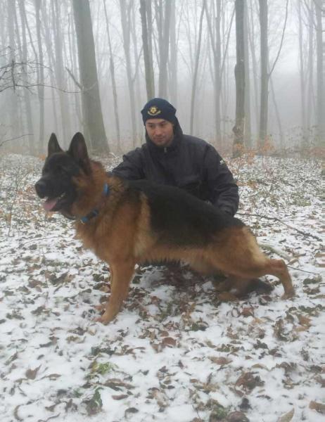 MAGNUS AKVITAS | German Shepherd Dog 
