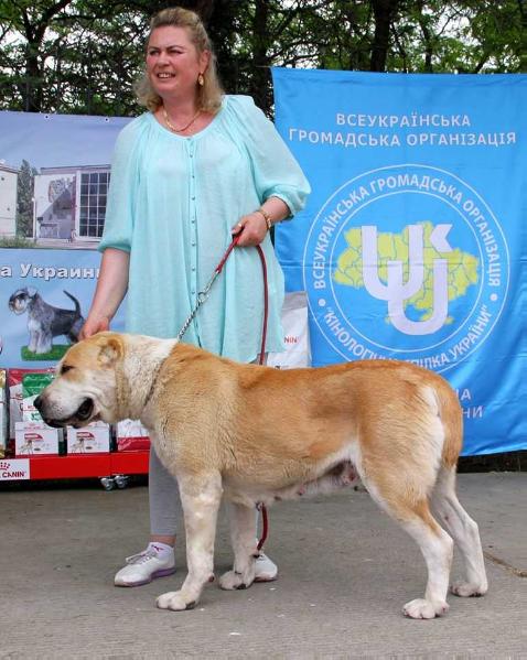 Esger Danras Ozara Adiya | Central Asian Shepherd Dog 