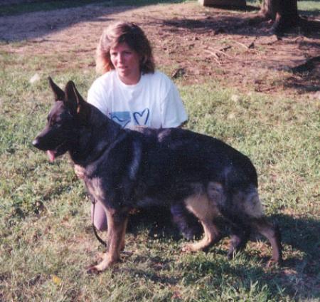 Brillie von Kennstenich | German Shepherd Dog 
