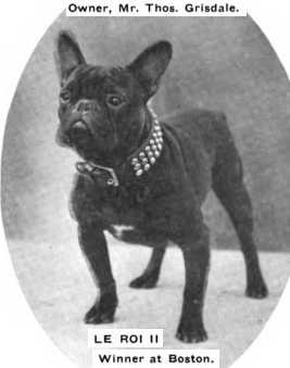 Lee Roi II [mr Thos Grisdale's] | French Bulldog 