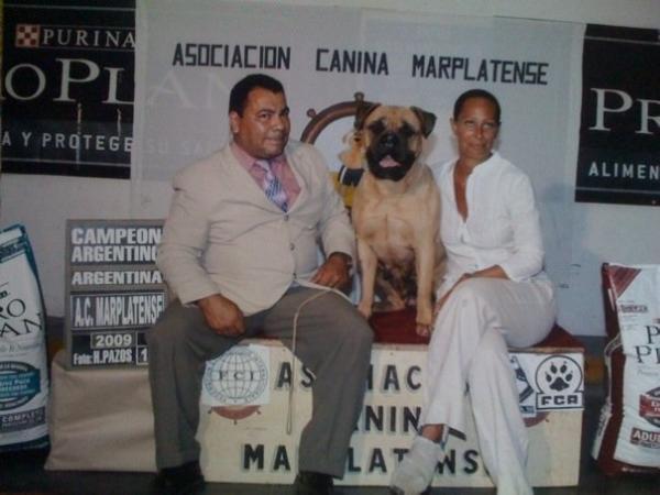 Minas Anor's Black Mamba | Bullmastiff 