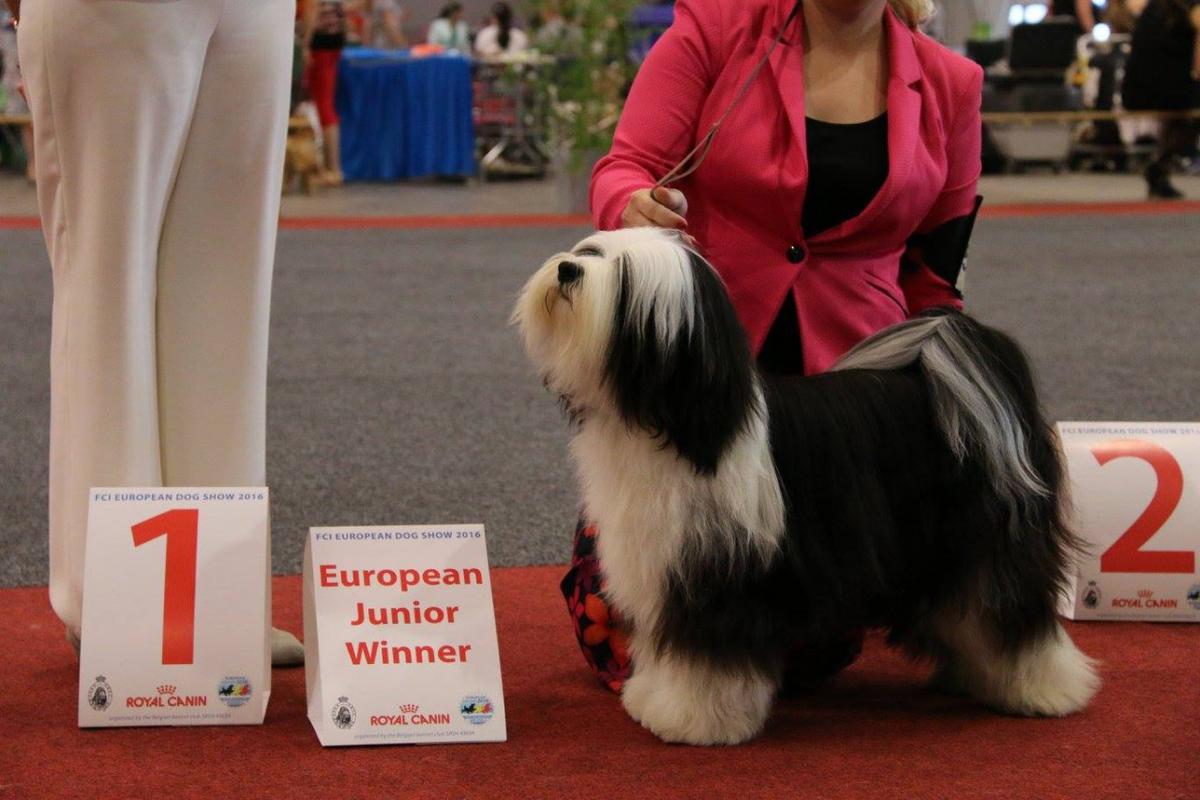 ART OF LIFE ERBOSEDITION | Tibetan Terrier 