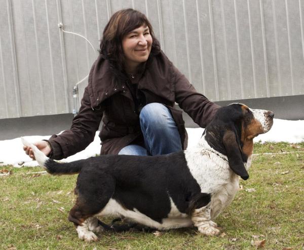 Yoselin Bohemia Horrido | Basset Hound 