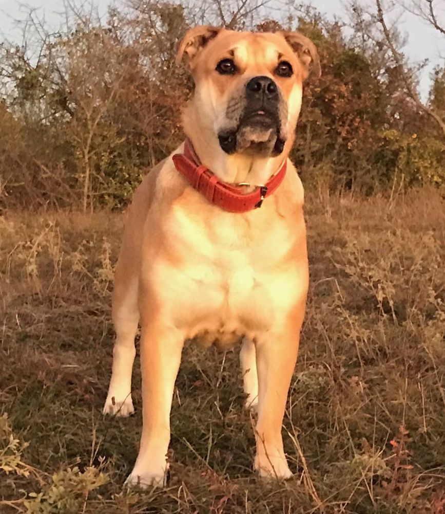 Jale Akoro | Ca de Bou 