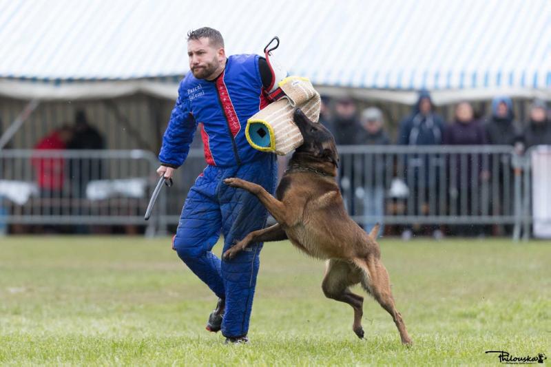 Dog John's Ikai | Belgian Malinois 