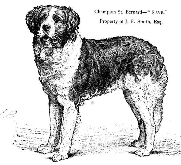 Save [JF Smith, Esq's] | Saint Bernard 