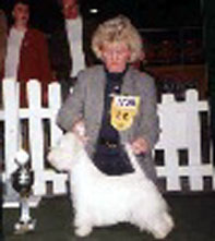 Leonhard's Percya | West Highland White Terrier 