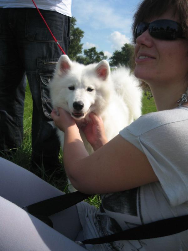 Adel' from Kel’bin treasure-house | Samoyed 