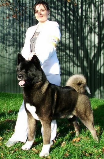 Calicelesti Slaymaker | Akita 